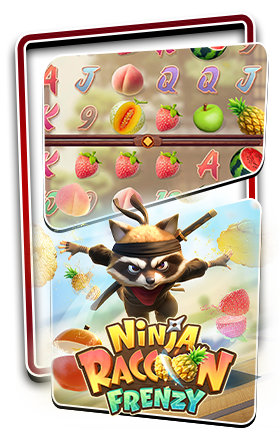 NINJA RACCOON FRENZY
